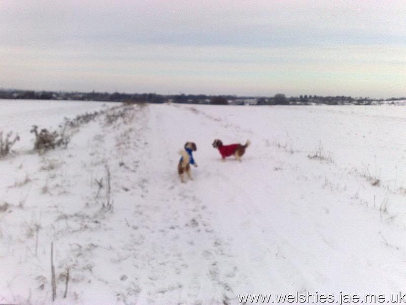 2010-12-19 05.jpg